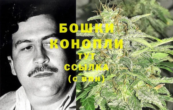 сатива Богородск