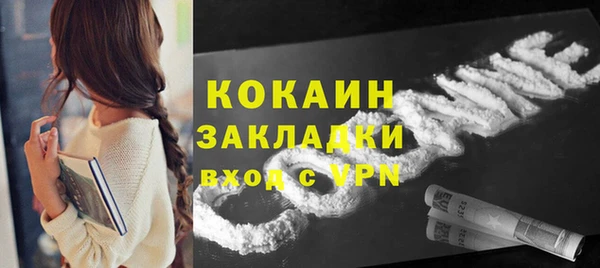 прущие грибы Богородицк