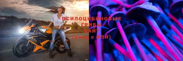 сатива Богородск