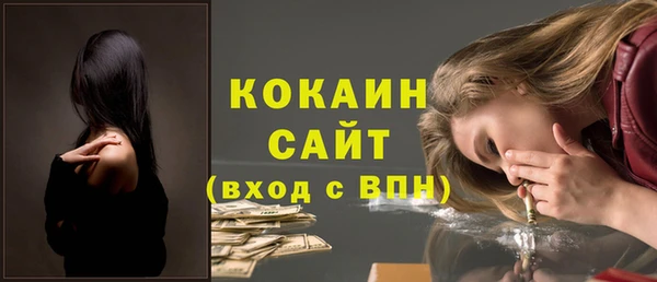 прущие грибы Богородицк
