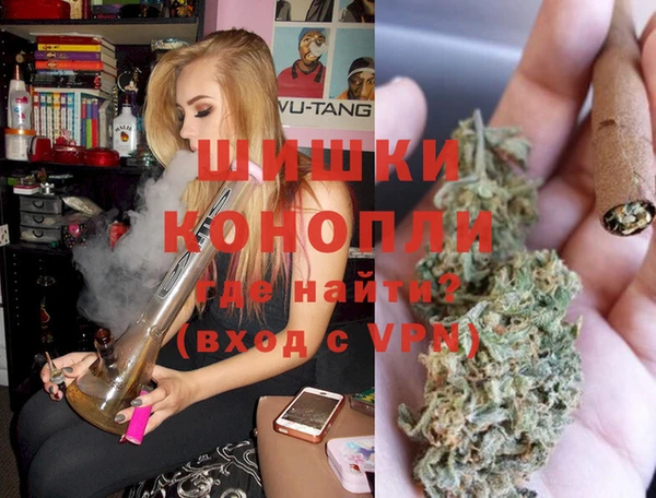 сатива Богородск