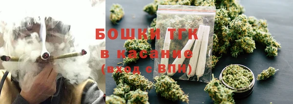 прущие грибы Богородицк