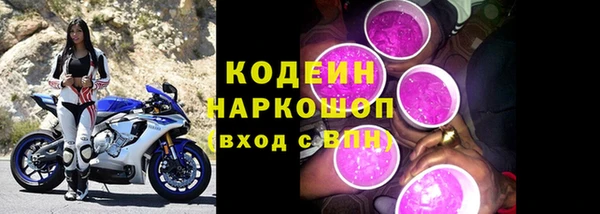 прущие грибы Богородицк