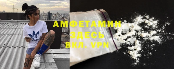 прущие грибы Богородицк